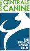 centrale-canine-01.jpg