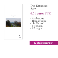 Le livre Des Errances
