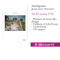 Le livre Amalgame