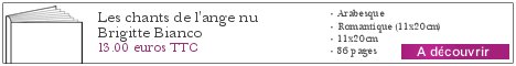Le livre Les chants de l\'ange nu