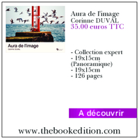 Le livre Aura de l\'image