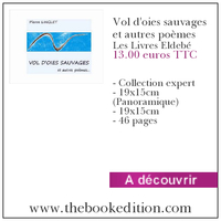 Le livre Vol d\'oies sauvages et autres poèmes