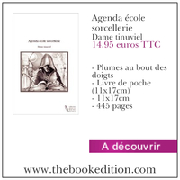 Le livre Agenda école sorcellerie