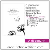 Le livre Ngöndro les pratiques préliminaires