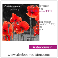 Le livre Lumin\'errance