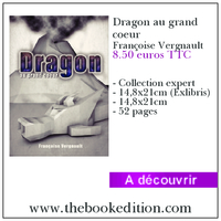 Le livre Dragon au grand coeur