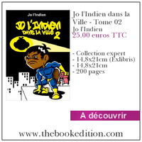 Le livre Jo l\'Indien dans la Ville - Tome 02