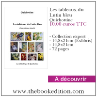 Le livre Les tableaux du Lutin bleu