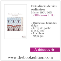 Le livre Faits divers de vies ordinaires