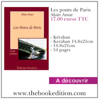 Le livre Les ponts de Paris