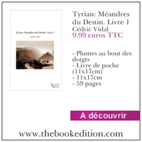 Le livre Tyrian: Méandres du Destin. Livre 1