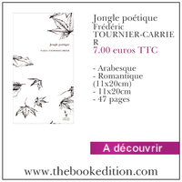 Le livre Jongle poétique
