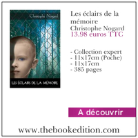Le livre Les éclairs de la mémoire