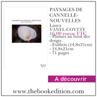 Le livre PAYSAGES DE CANNELLE- NOUVELLES