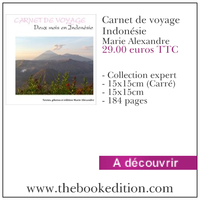 Le livre Carnet de voyage Indonésie