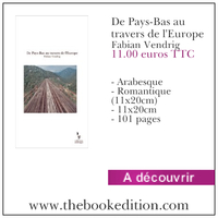 Le livre De Pays-Bas au travers de l\'Europe