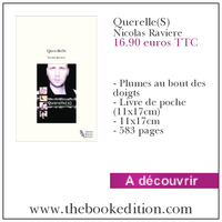 Le livre Querelle(S)