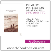 Le livre PRIMITIV - PROTECTION
