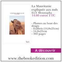 Le livre La Mauritanie expliquée aux nuls