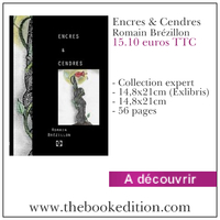 Le livre Encres & Cendres