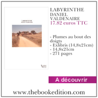 Le livre LABYRINTHE