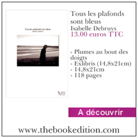 Le livre Tous les plafonds sont bleus