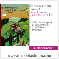 Le livre Forest & Groink Tome 1
