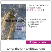 Le livre Il était une ville - 2