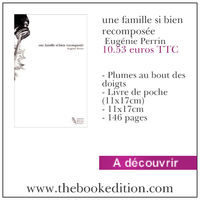 Le livre une famille si bien recomposée