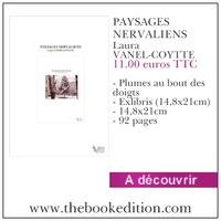 Le livre PAYSAGES NERVALIENS