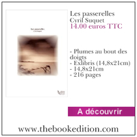 Le livre Les passerelles