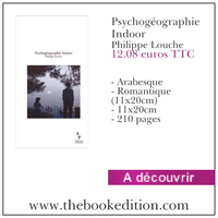 Le livre Psychogéographie Indoor