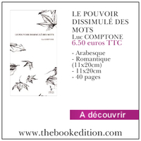 Le livre LE POUVOIR DISSIMUL� DES MOTS