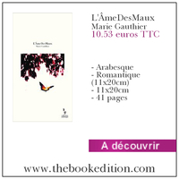 Le livre L'&Acirc;meDesMaux