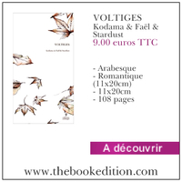 Le livre VOLTIGES