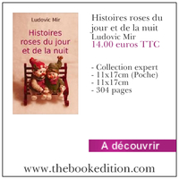 Le livre Histoires roses du jour et de la nuit