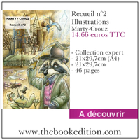 Le livre Recueil n°2 Illustrations