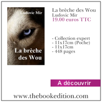 Le livre La brèche des Wou
