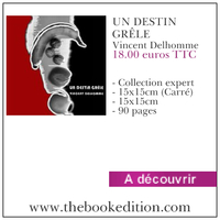 Le livre UN DESTIN GRÊLE