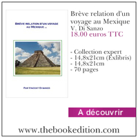 Le livre Brève relation d\'un voyage au Mexique