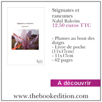 Le livre Stigmates et rancunes