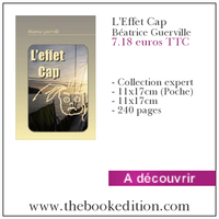 Le livre L\'Effet Cap