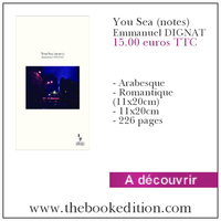 Le livre You Sea (notes)