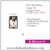 Le livre The Mysteries - Tome II
