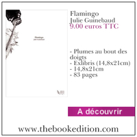 Le livre Flamingo