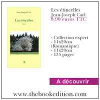 Le livre Les étincelles