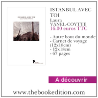 Le livre Istanbul avec toi