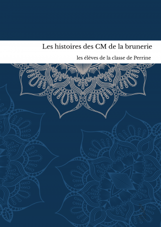 Les histoires des CM de la brunerie