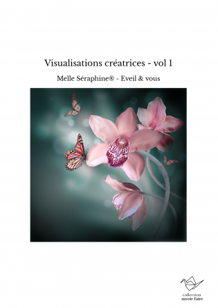 Visualisations créatrices - vol 1