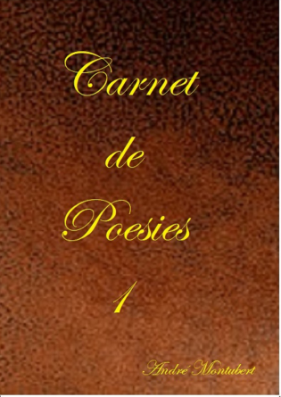 Carnet de poésies 1